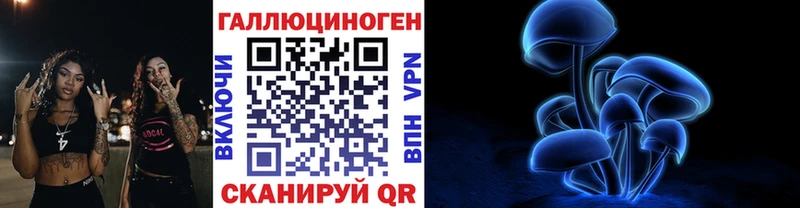Псилоцибиновые грибы Psilocybine cubensis  Купить  Кувандык 